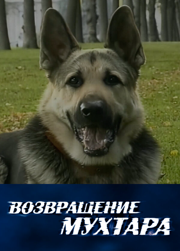 Возвращение Мухтара - постер